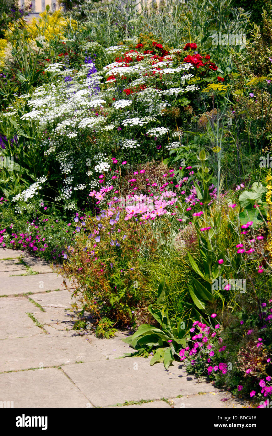 A COLOURFUL SUMMER BORDER IN AN ENGLISH COUNTRY GARDEN Stock Photo - Alamy