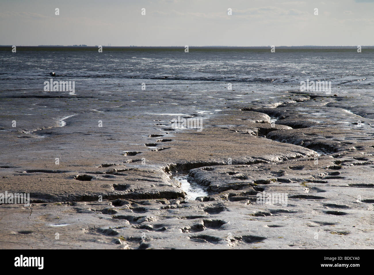 Wet sandy mud exposed at low tide, Snettisham, Norfolk, England, UK. Stock Photo