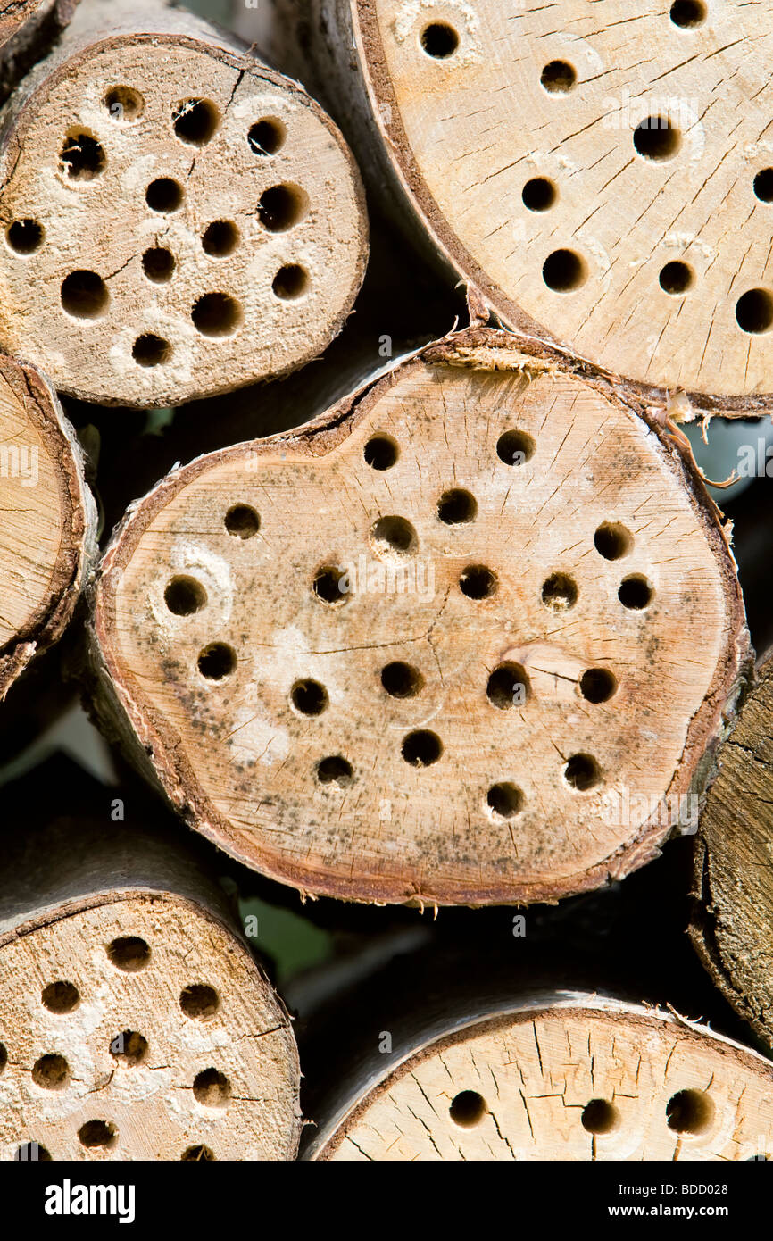 Logs with holes drilled in them as part of an insect refuge Kent UK Stock Photo
