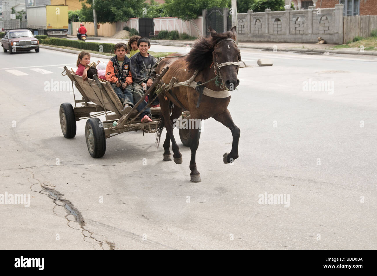 Roma in horse-drawn carriage, Romania Stock Photo
