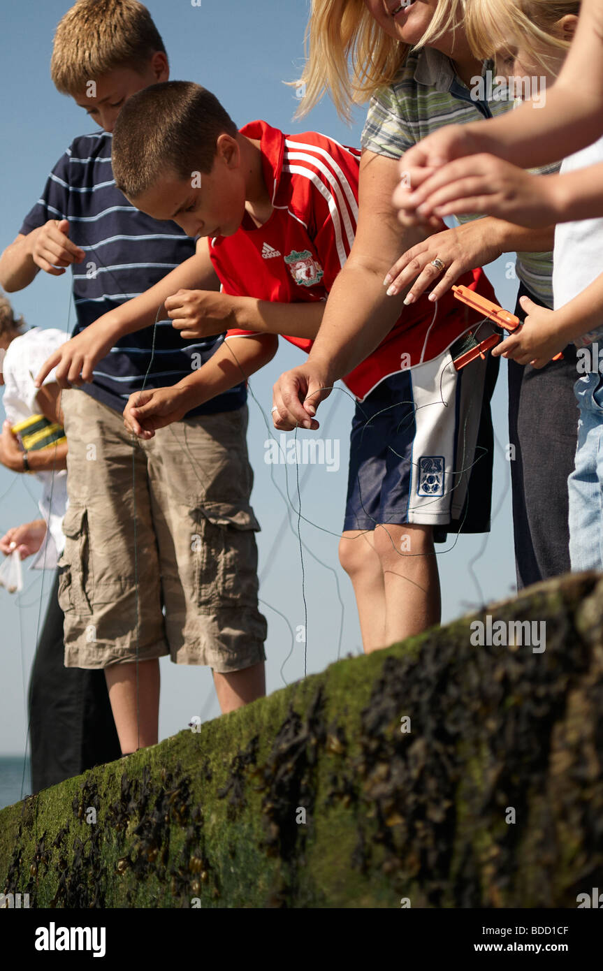 Children fishing for crabs in Whitstable, Kent Stock Photo Alamy