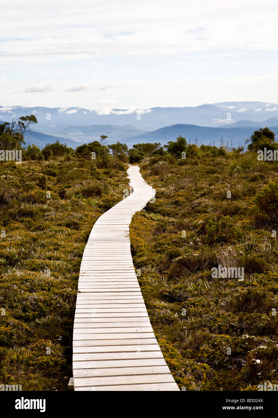 Boardwalk Hartz Mountains National Park, Tasmania, Australia Stock Photo