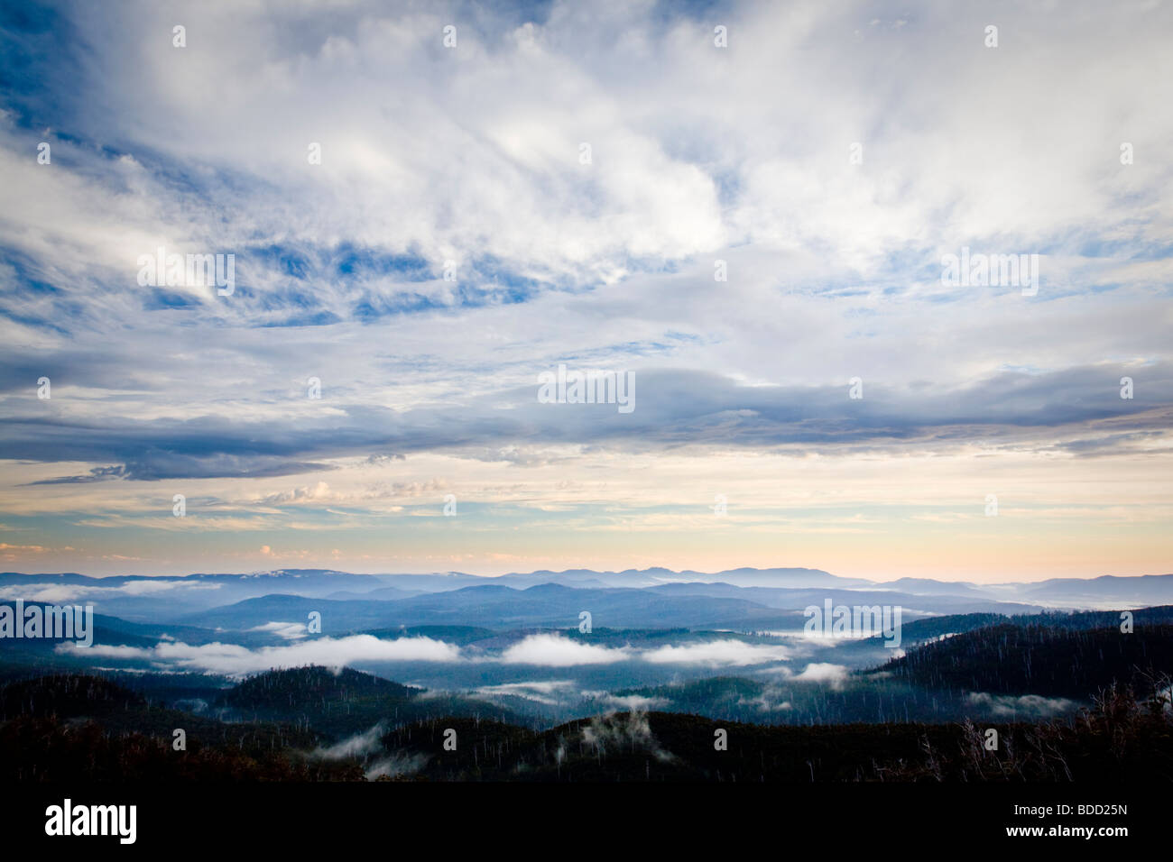 Dawn on the Waratah Lookout Hartz Mountains National Park Tasmania Australia Stock Photo