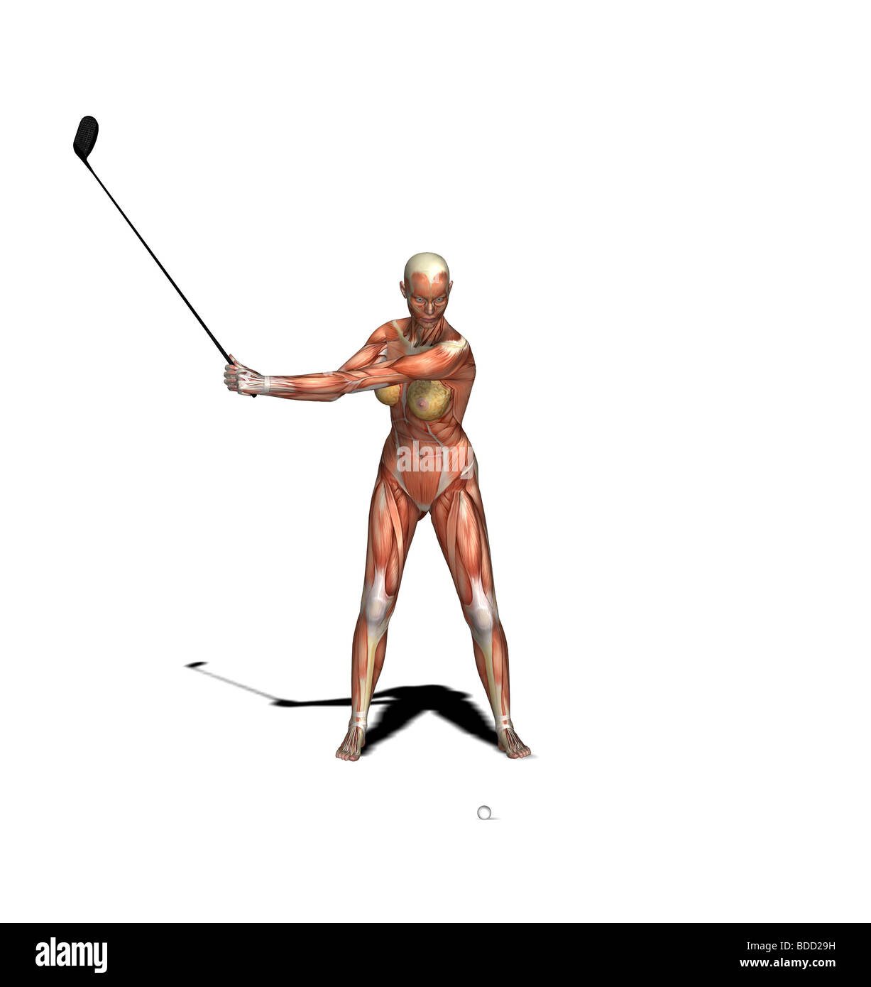 muscle woman as golfer  driver Stock Photo