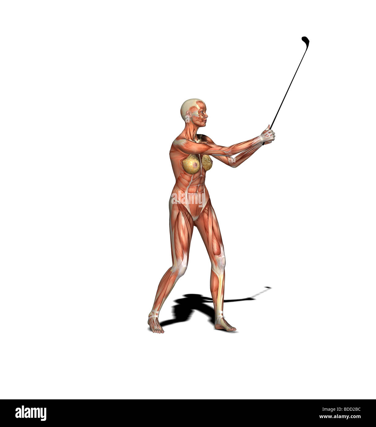 muscle woman as golfer iron golf club Stock Photo