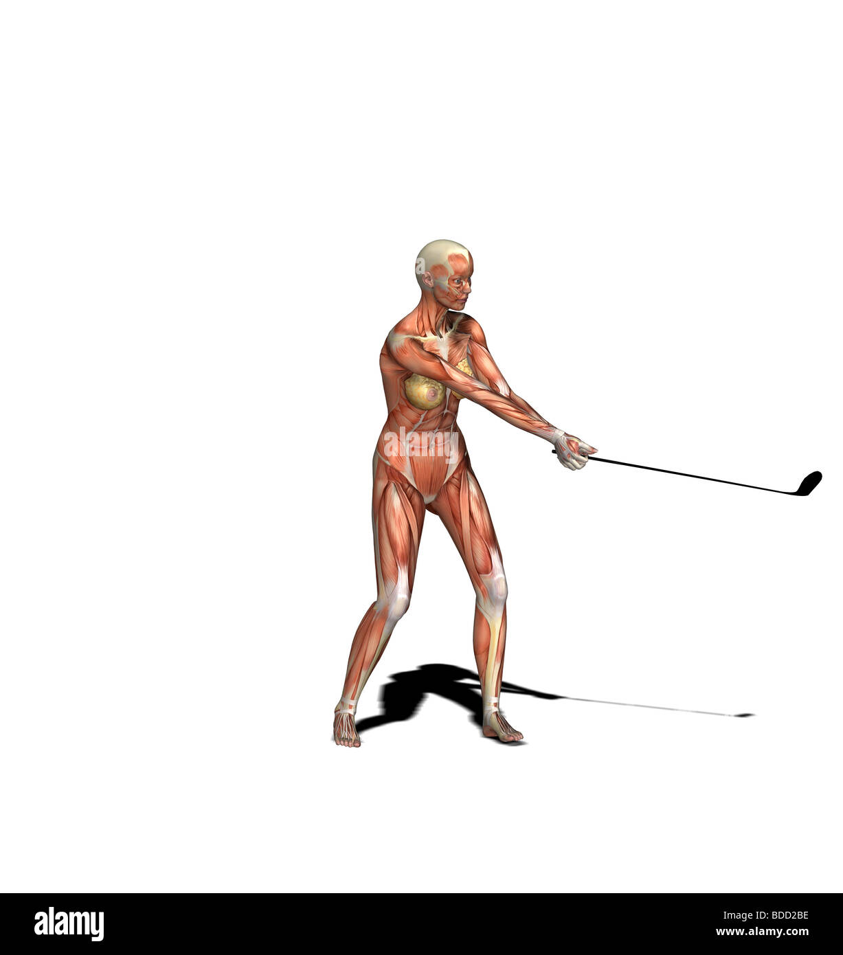 muscle woman as golfer iron golf club Stock Photo