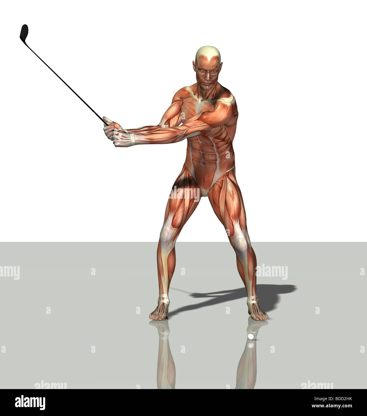 muscle man as golfer Stock Photo