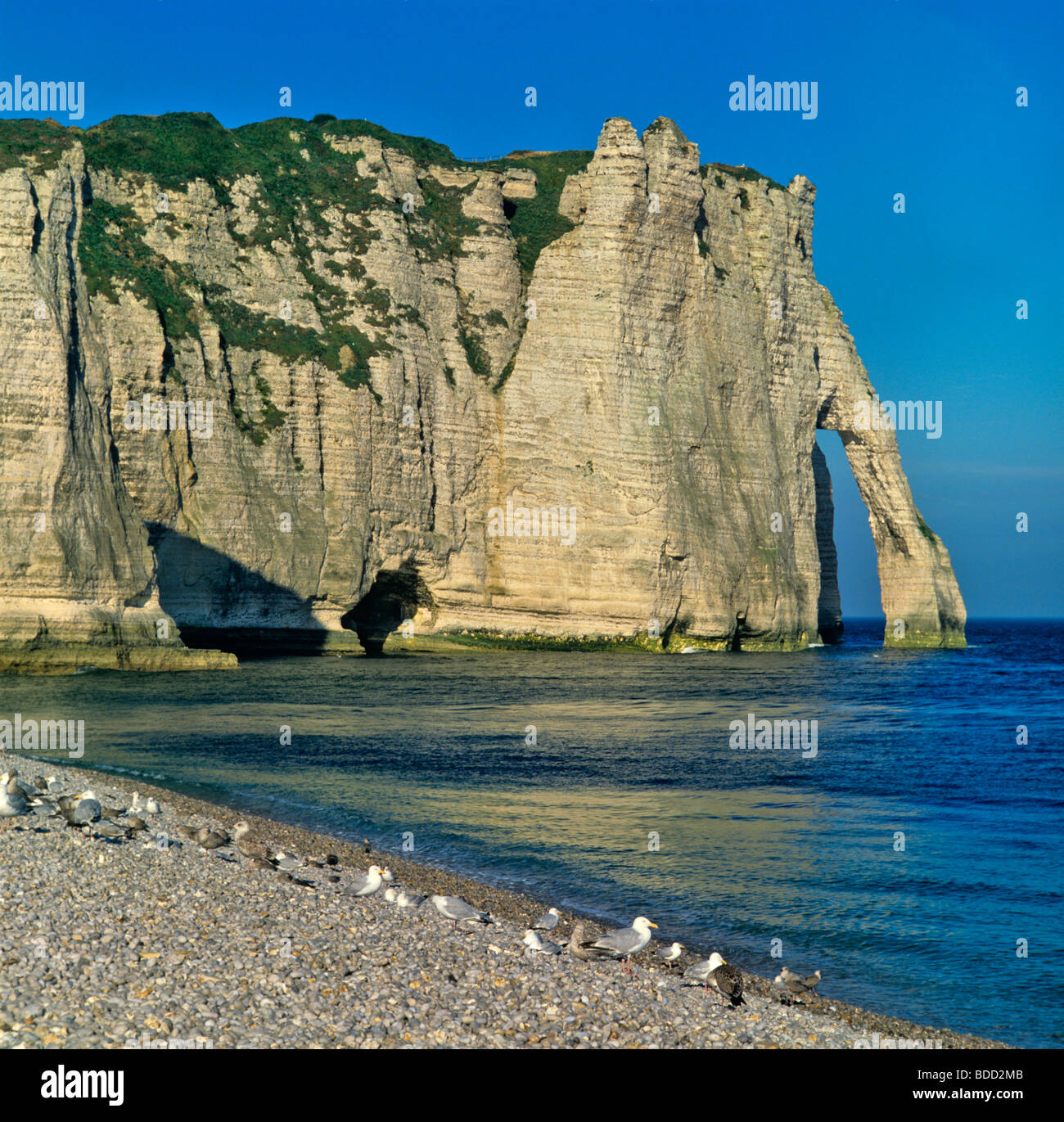 The impressive cliffs at Etretat on the Normandy coast Stock Photo - Alamy