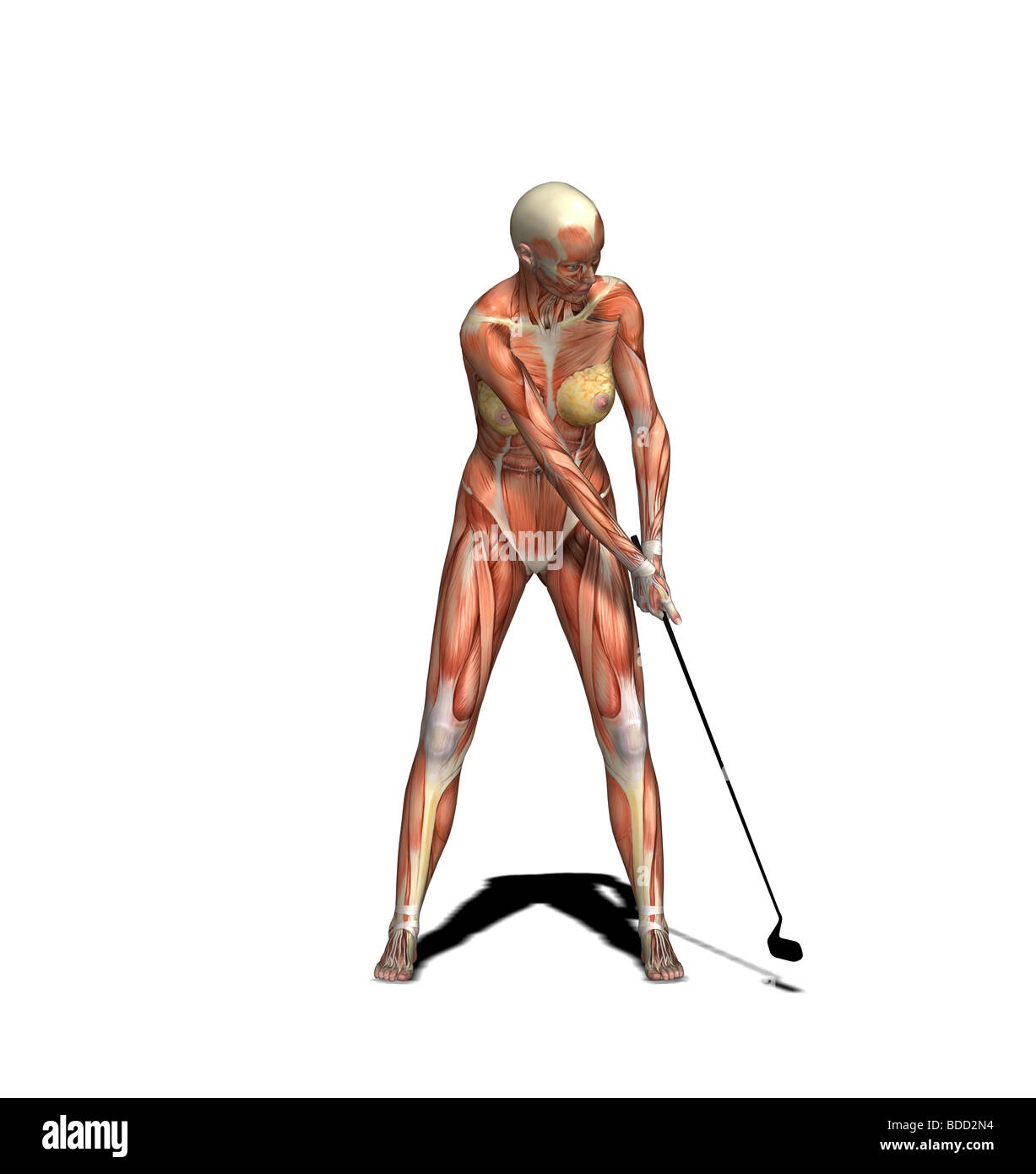 muscle woman as golfer with putting golf club Stock Photo