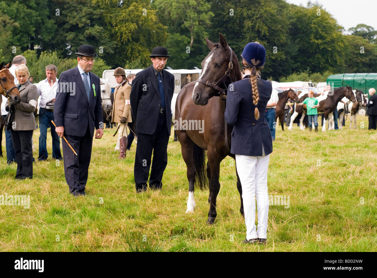 Judging horses hires stock photography and images Alamy