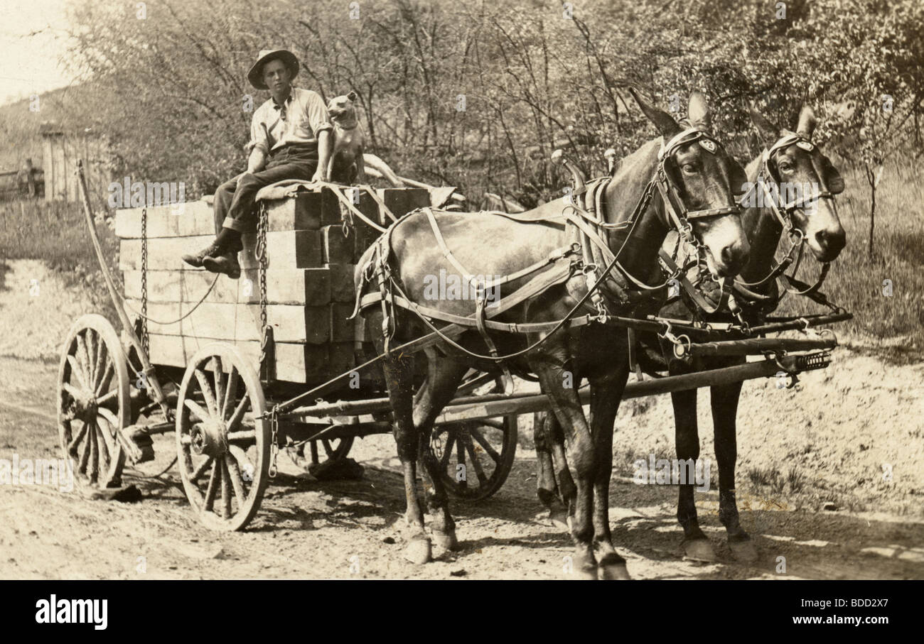Horse Drawn Wagon with Man & Dog Hauling Load of Lumber Stock Photo