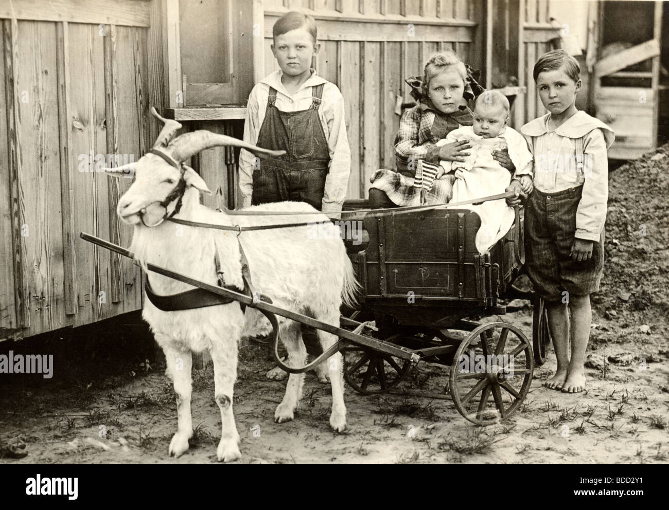 Four Children & Goat Cart Stock Photo Alamy