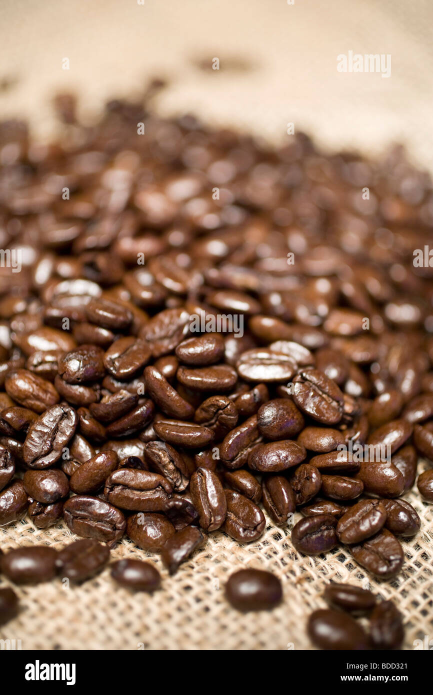 Roasted Arabica Coffee Beans on Hessian Stock Photo - Alamy