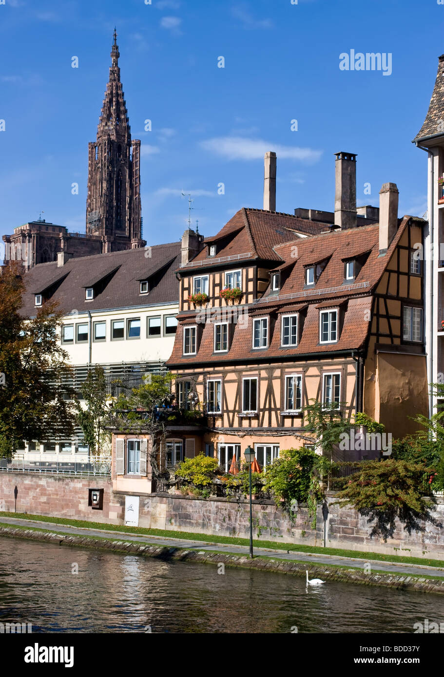 Canalside houses in Strasbourg with the gothic cathedral spire in the background Stock Photo