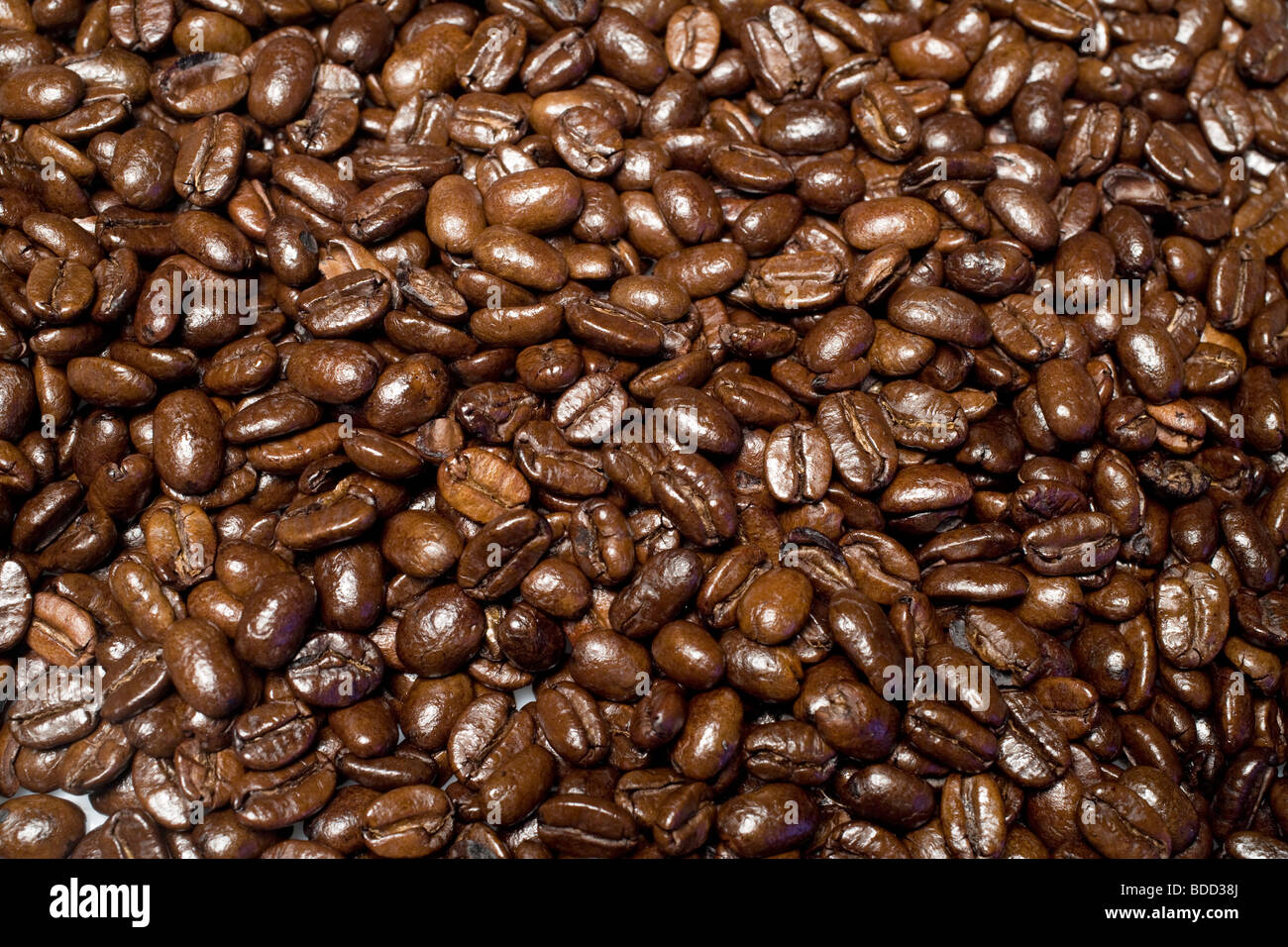 Roasted Arabica Coffee Beans Stock Photo - Alamy