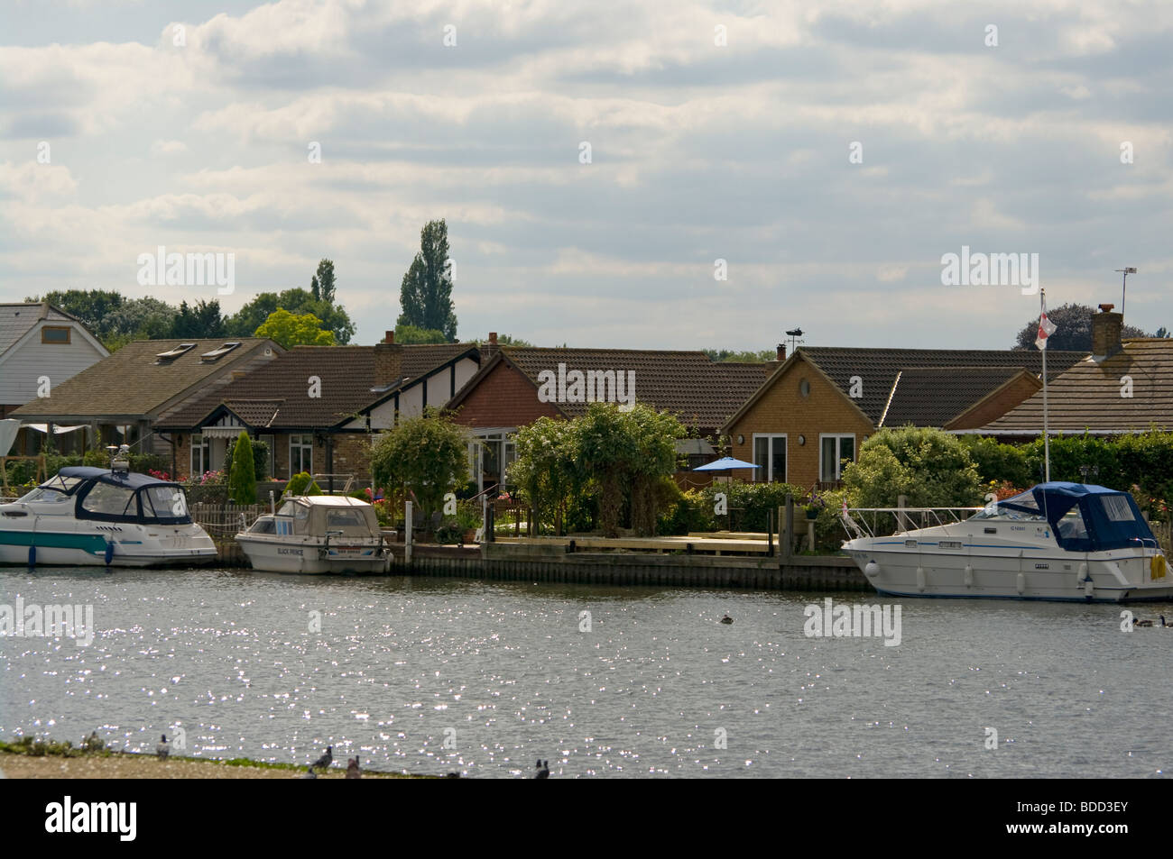 Riverside Property and Moored Boats On Desborough Island The River