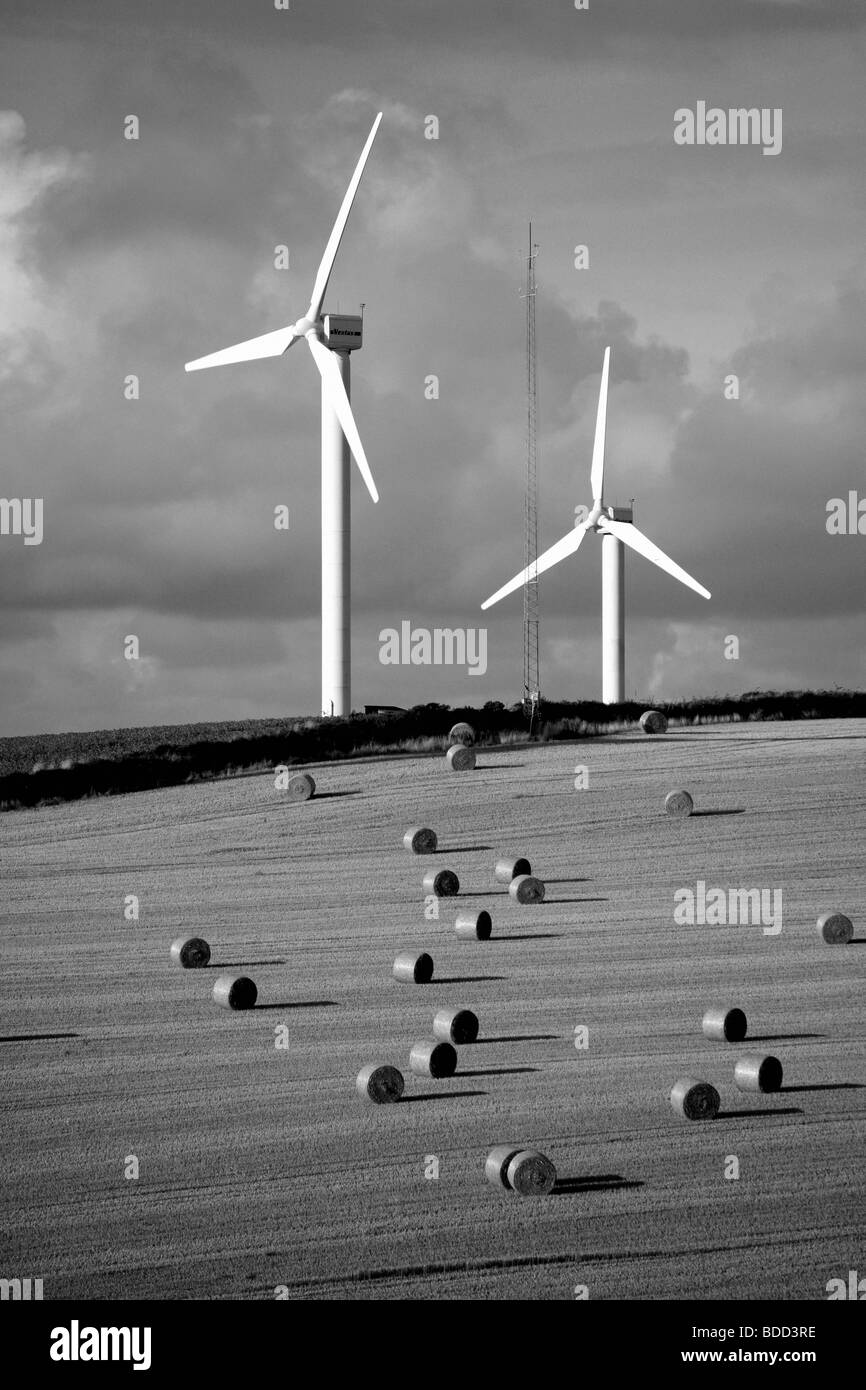 Wind farm turbines Stock Photo Alamy