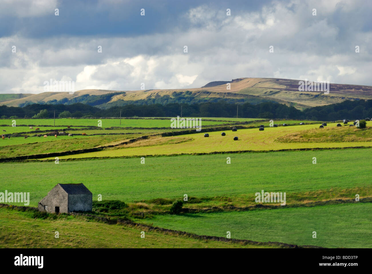 Small barn near Buxton, looking North. Peak districk National Park, derbyshire, england Stock Photo