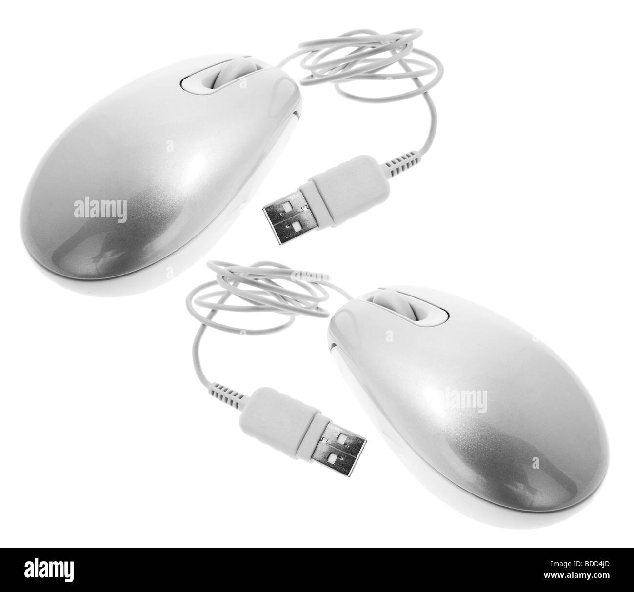 Office mouse Black and White Stock Photos & Images Alamy