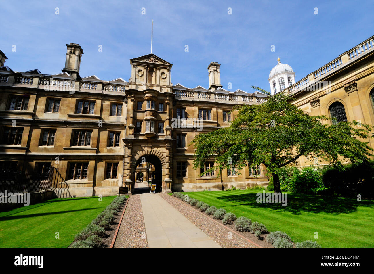 Clare College, Cambridge England UK Stock Photo