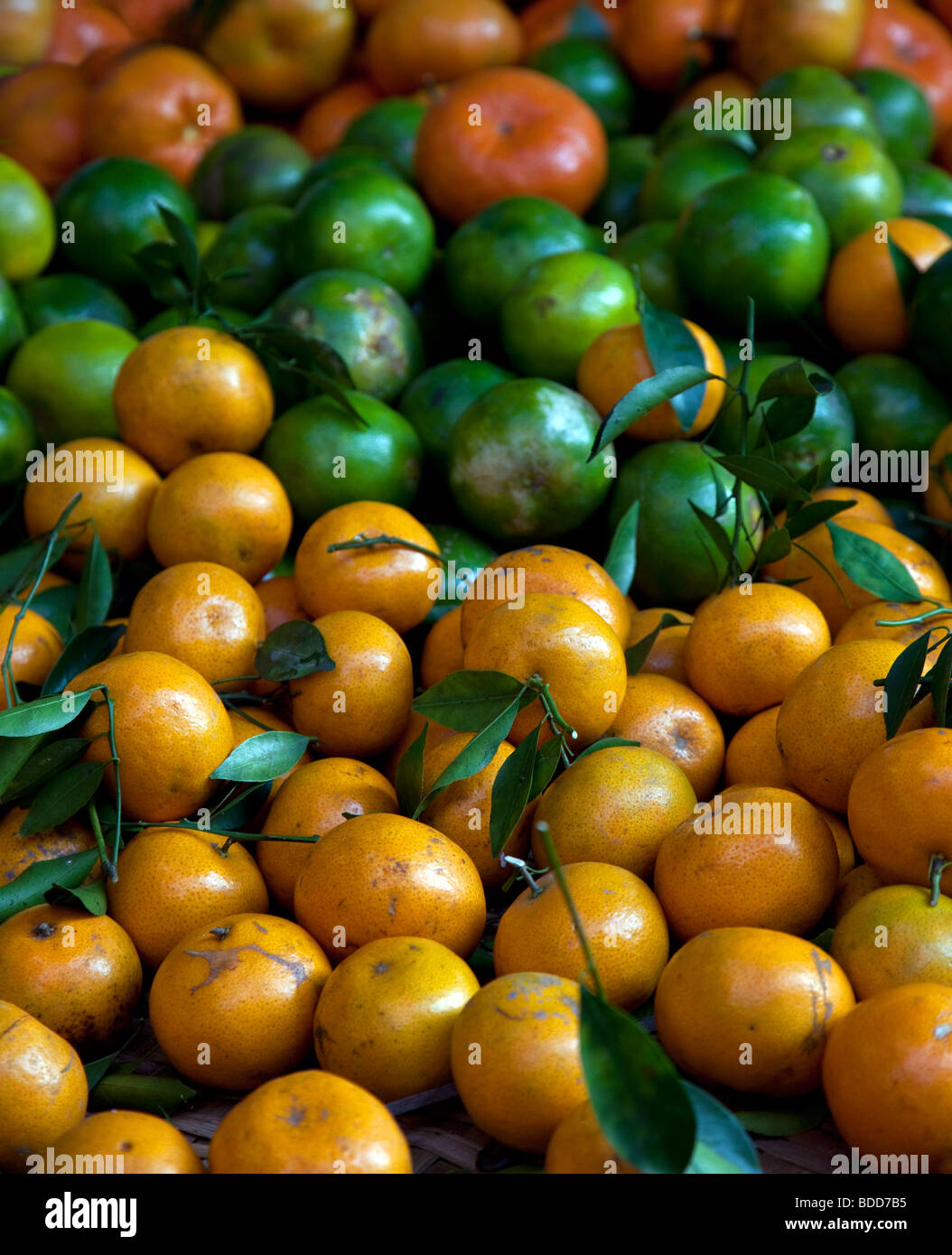 Manderins for sale at a market Stock Photo - Alamy