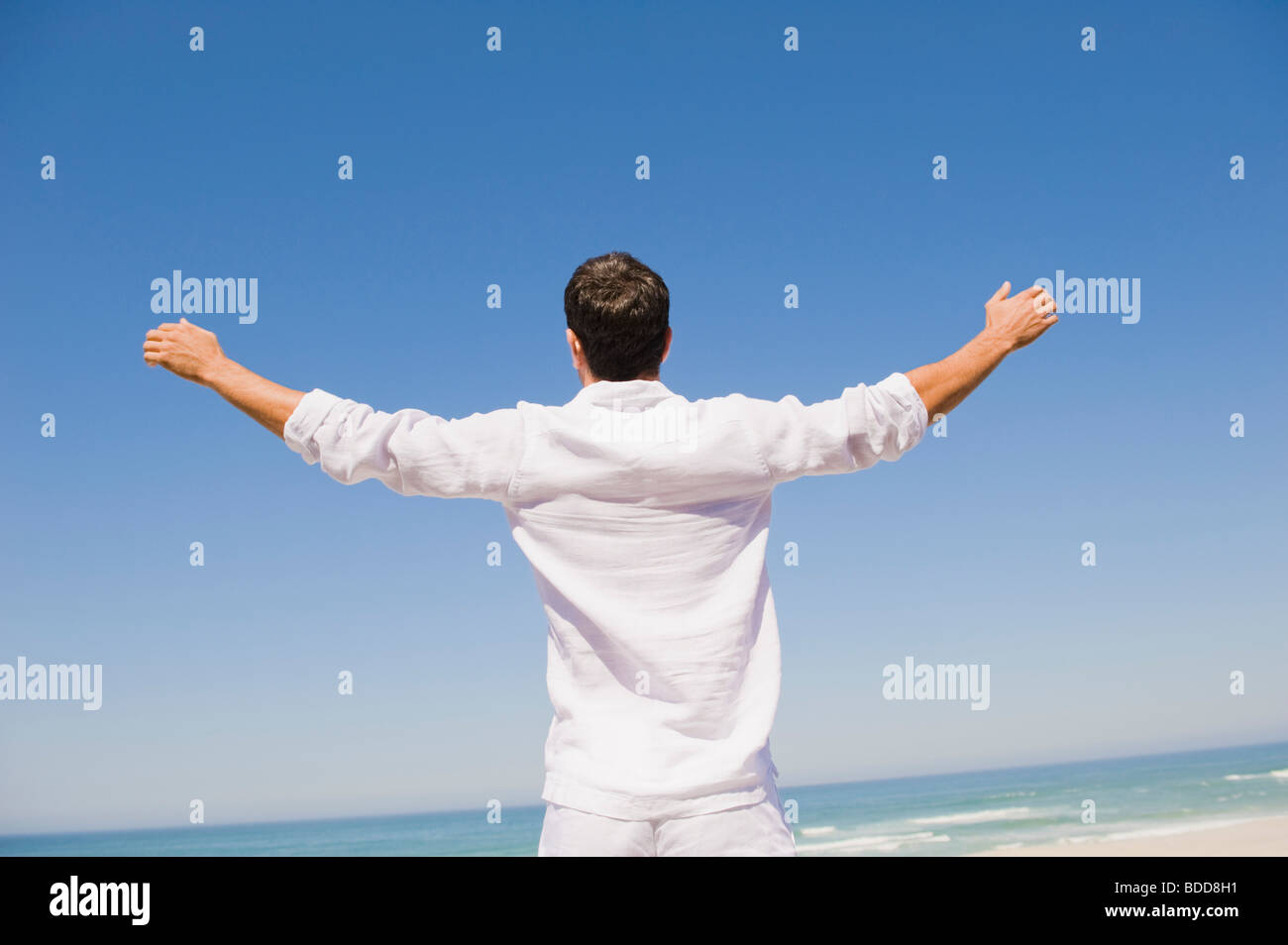 Rear view of a man standing on the beach Stock Photo - Alamy