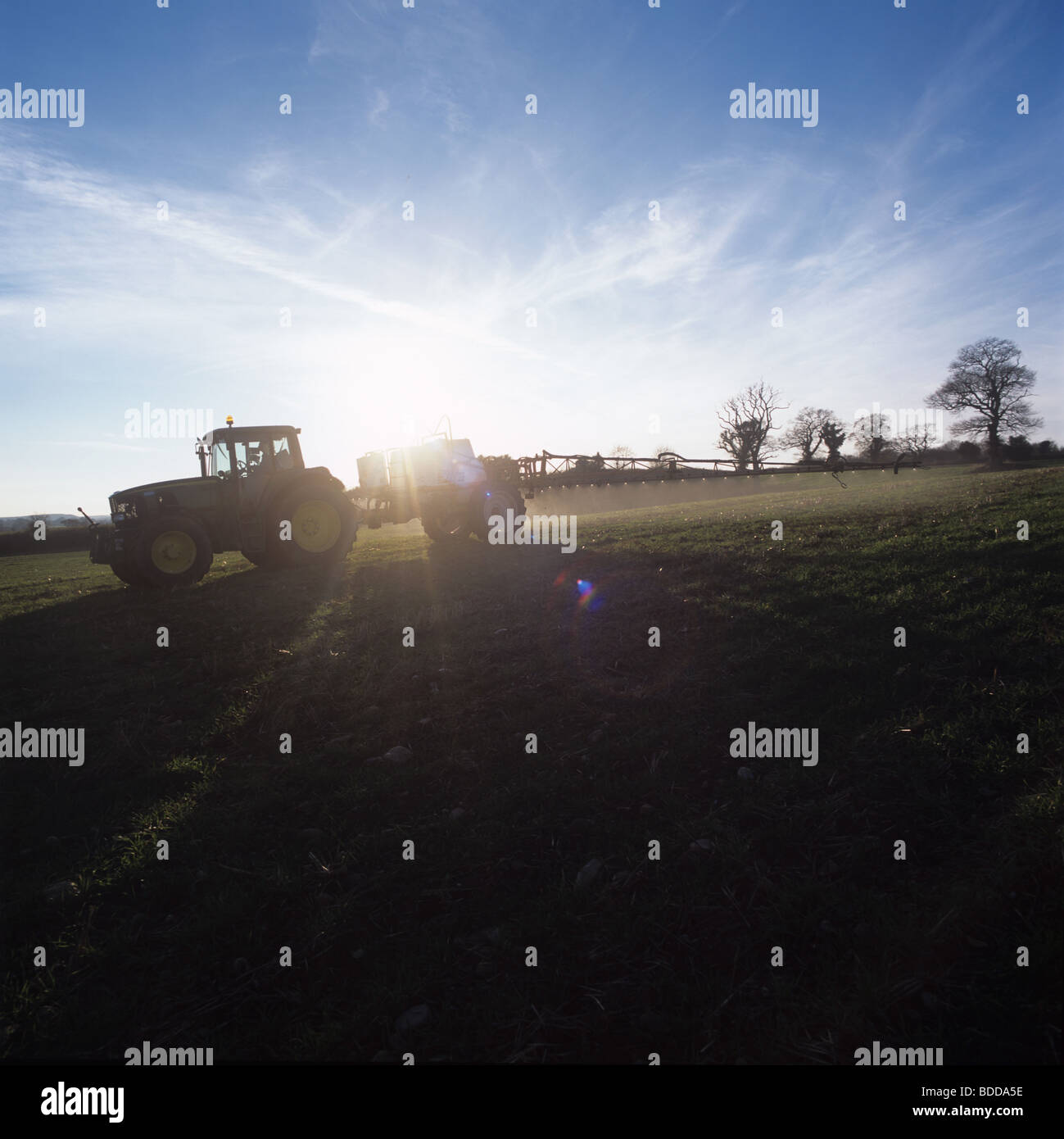 John Deere tractor with Knight trailed sprayer spraying young wheat crop sown with minimal cultivation, Late autumn afternoon sunshine, Devon Stock Photo