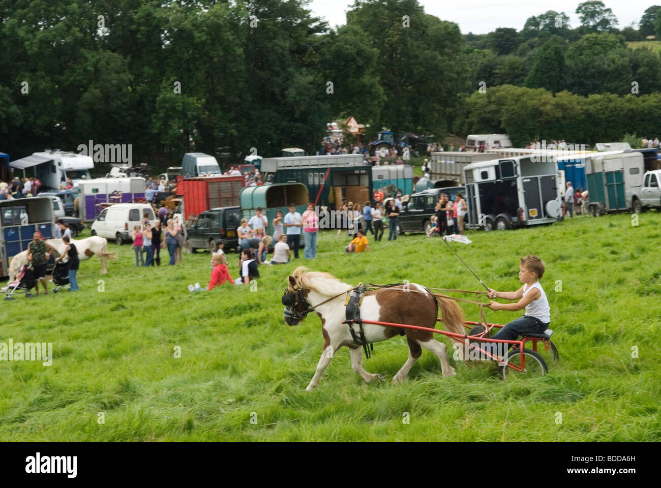 Priddy Horse Fair Mendip Hills, Somerset Uk  Young boy trotting using a Shetland Pony pulling a horse cart. 2000s HOMER SYKES Stock Photo