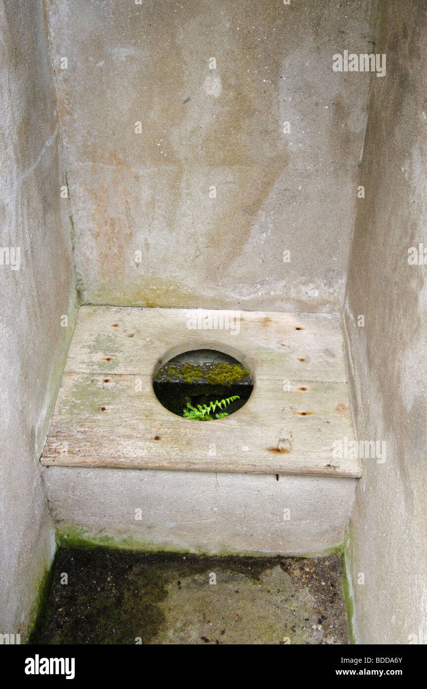 Old fashioned, traditional wooden toilet seat in a cramped cubicle, with plants growing through in an abandoned Irish school Stock Photo