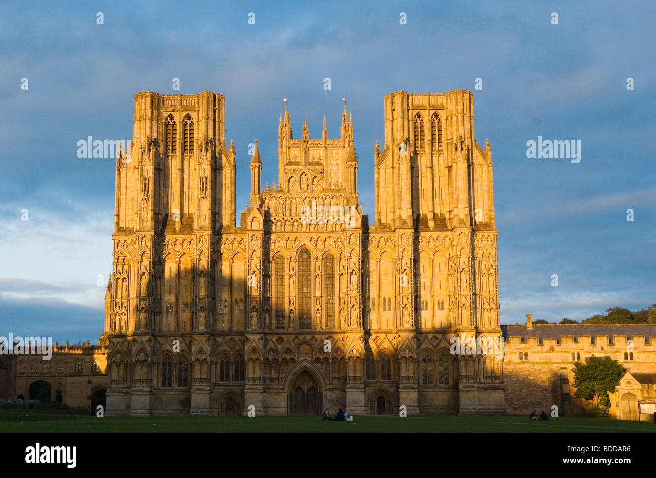 Wells cathedral hi-res stock photography and images - Alamy
