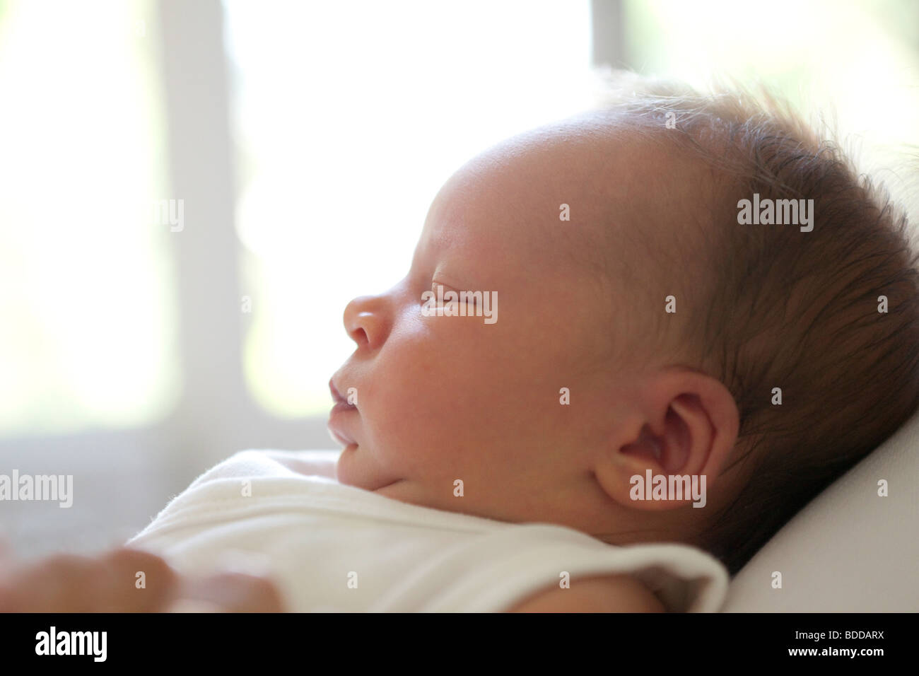 Sleeping newborn baby en profile Stock Photo