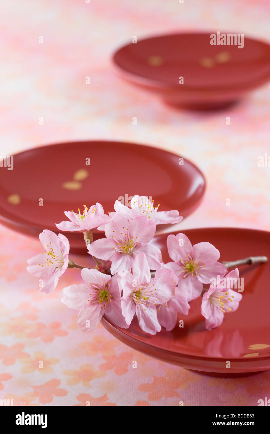 Plate and cherry blossoms Stock Photo