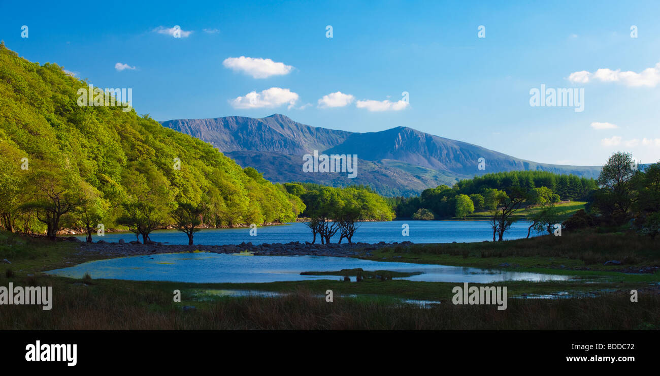 Llyn Cynwch Dolgellau Gwynedd Wales Stock Photo