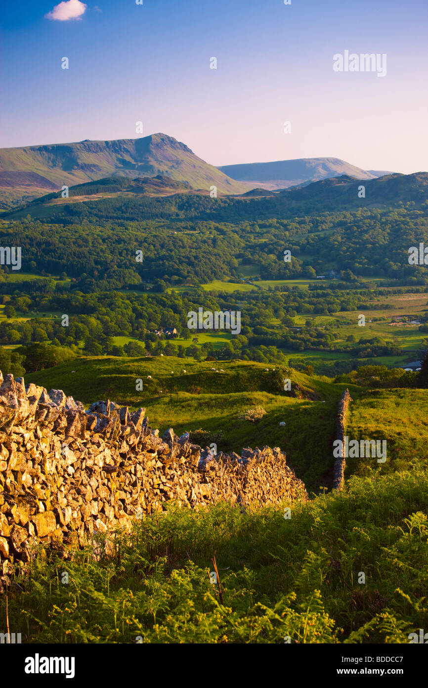 Cadair Idris and the Mawddach Estuary from the Precipice Walk nr Dolgellau Gwynedd Wales Stock Photo