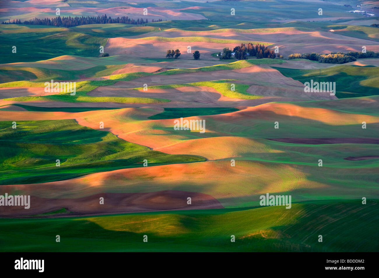 Palouse hills region hires stock photography and images Alamy