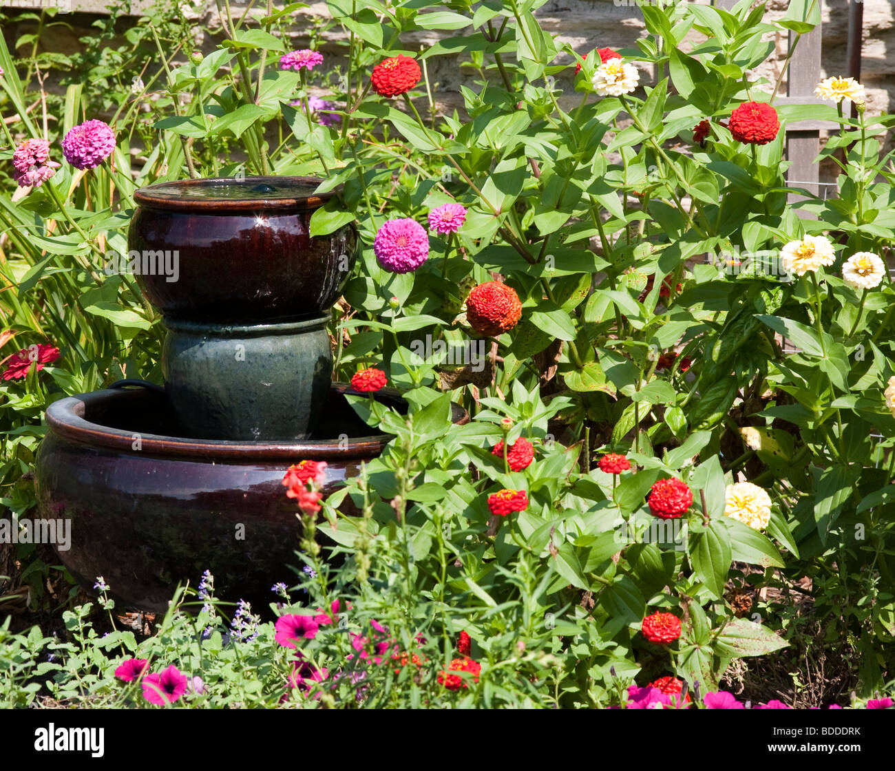 At the corner of the cottage is a fountain surrounded by a bed of Zinnia. Stock Photo