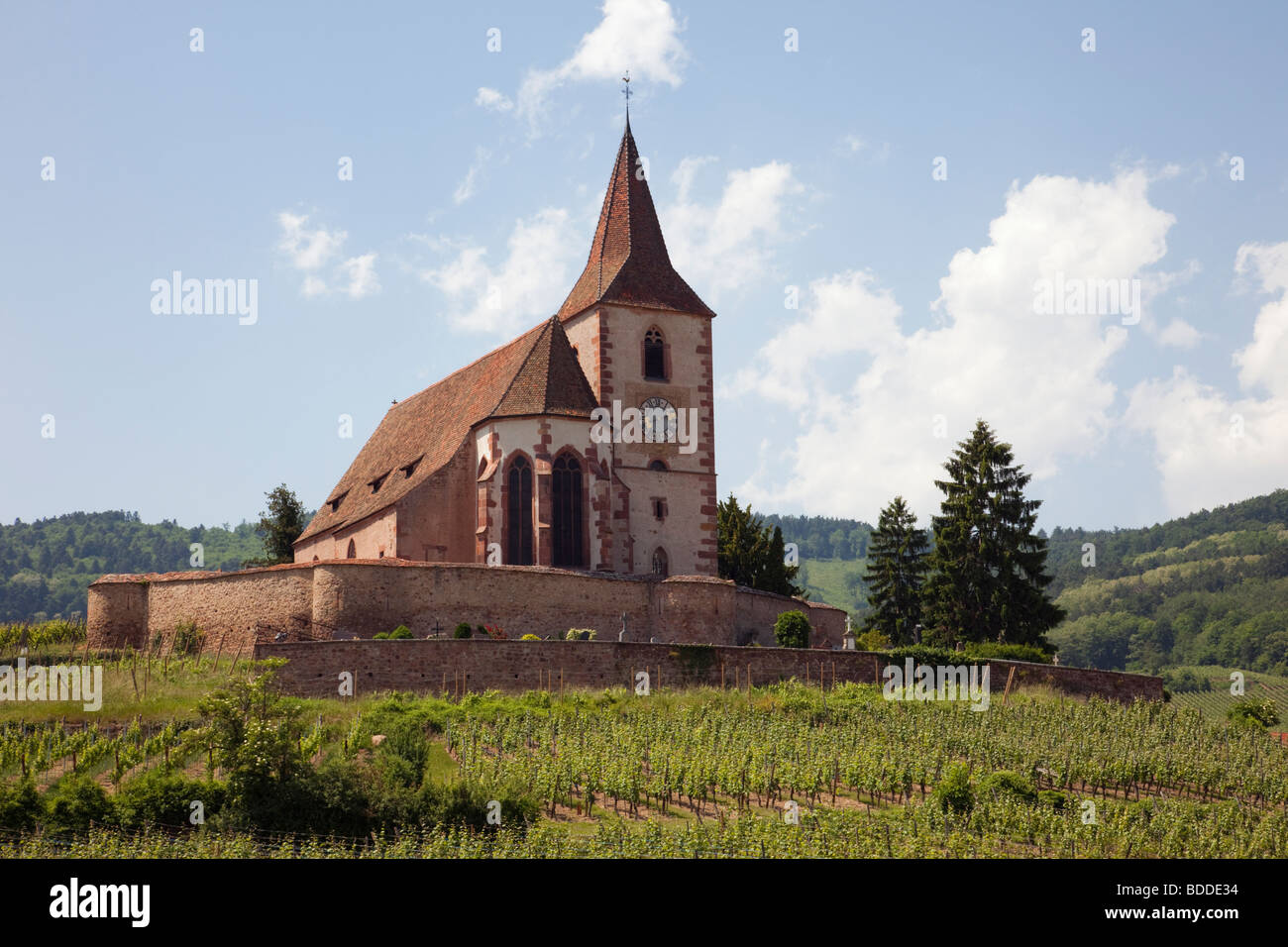Hunawihr Alsace Haut-Rhin France 15th century fortified church of St Jacques and Grand Cru vineyards on the Alsatian wine route Stock Photo