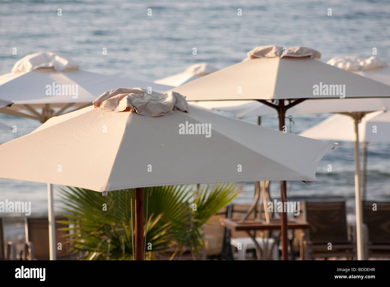 Beach umbrellas at sunset Stock Photo