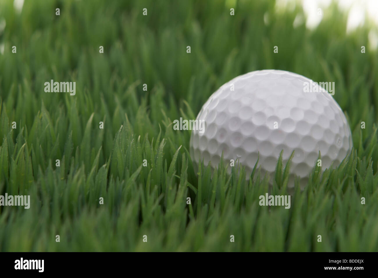 golf ball in a meadow Stock Photo Alamy