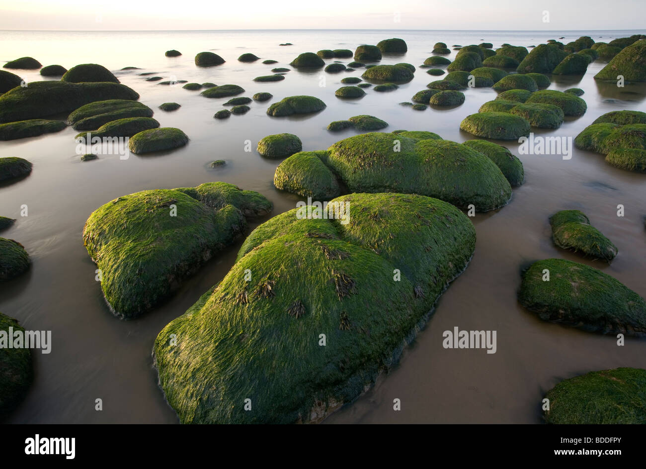 Hunstanton red rocks hi-res stock photography and images - Alamy