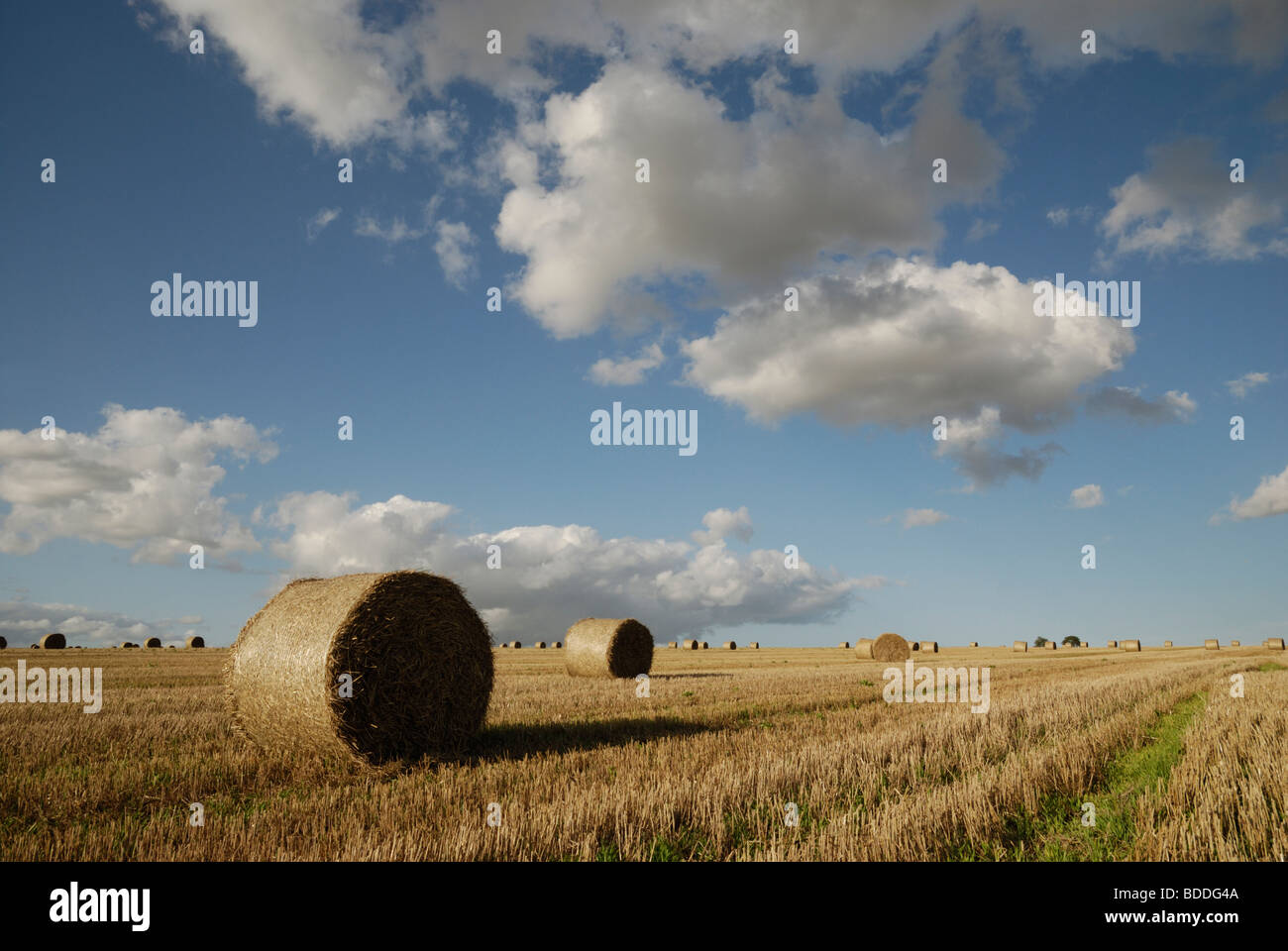 Hay bales on a summer's evening in Sudbrook, Lincolnshire, England. Stock Photo