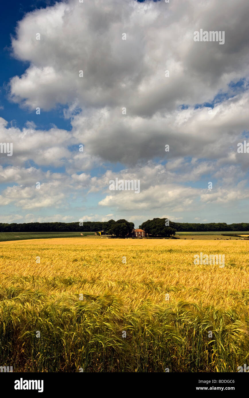 Farm On The East Yorkshire Wolds Stock Photo Alamy farm-on-the-east-yorkshire-wolds-stock-photo-alamy