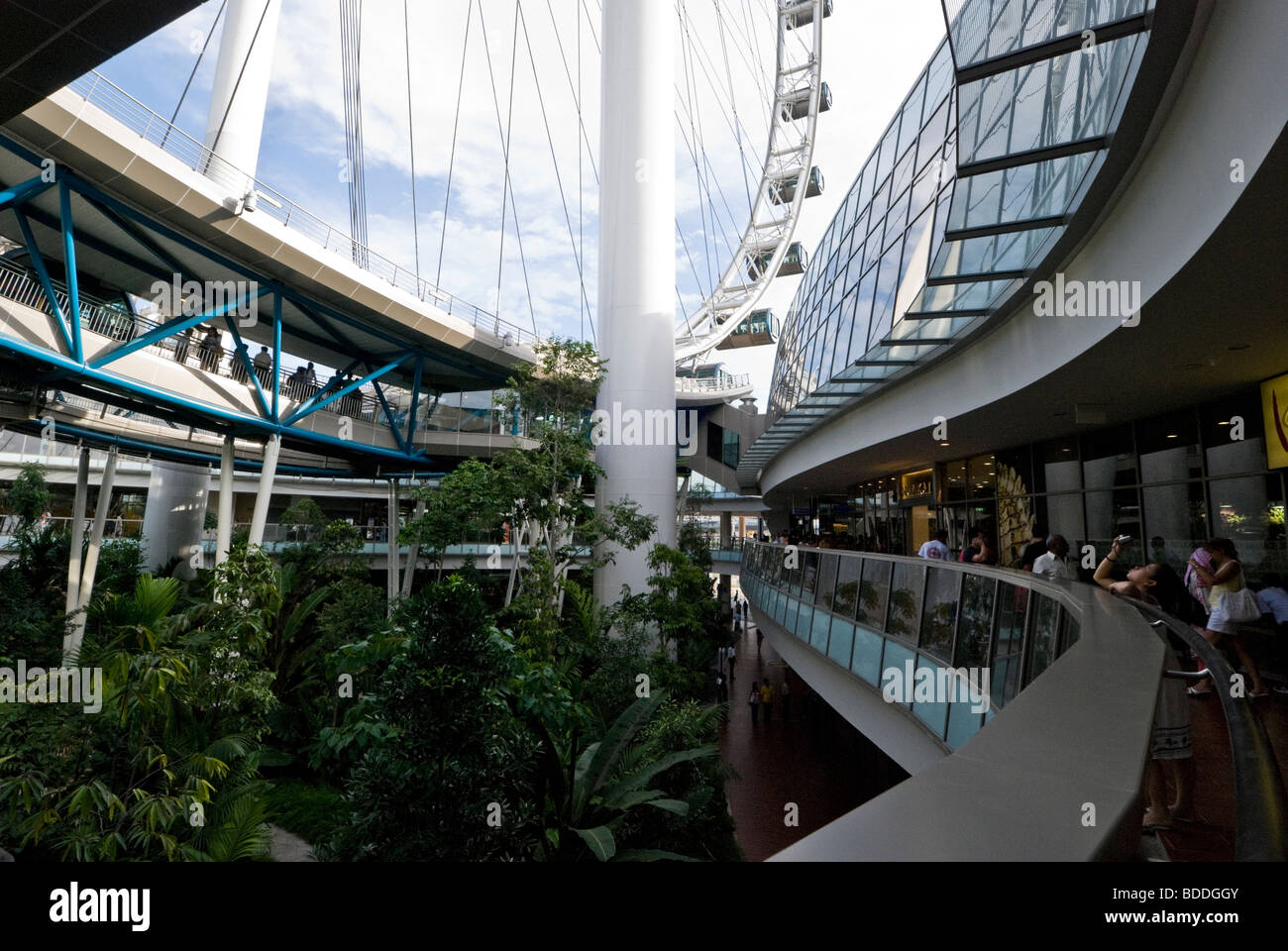 Singapore Flyer, Singapore, South East Asia Stock Photo