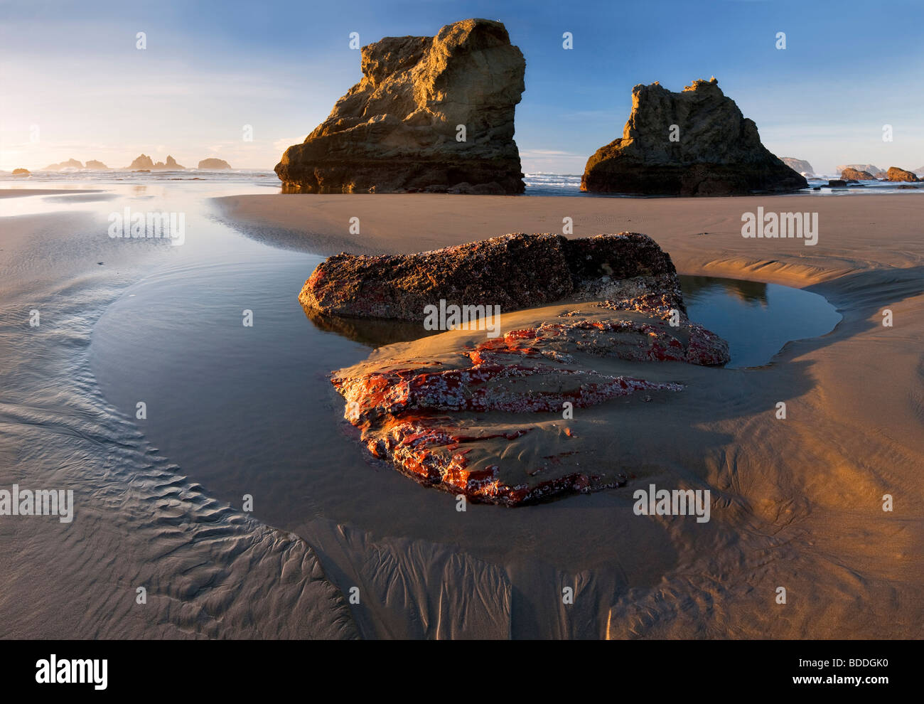 Low tide with exposed colorful rock. Bandon, Oregon Stock Photo