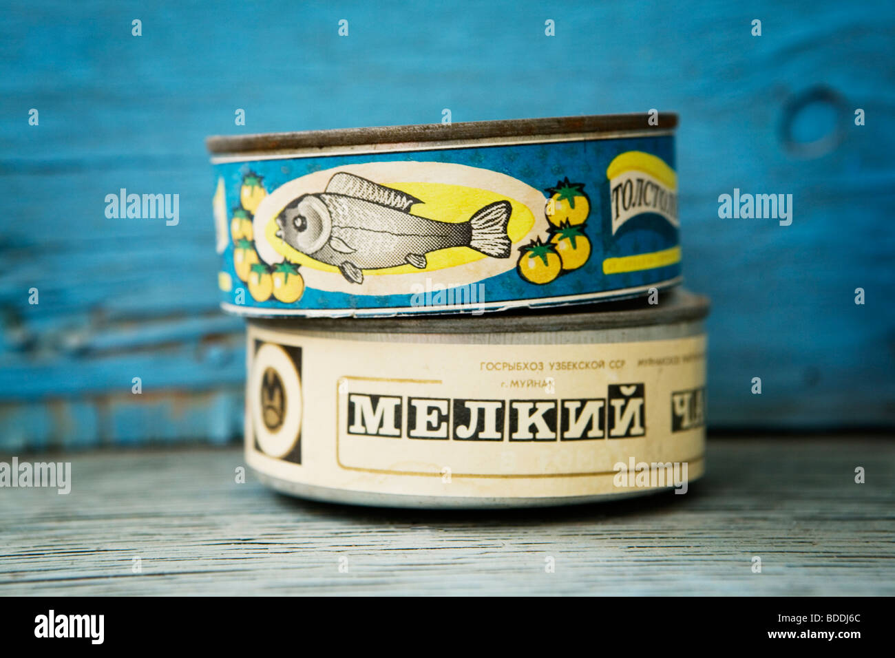 Historical canned fish at the museum of Moynaq, a former fishing port