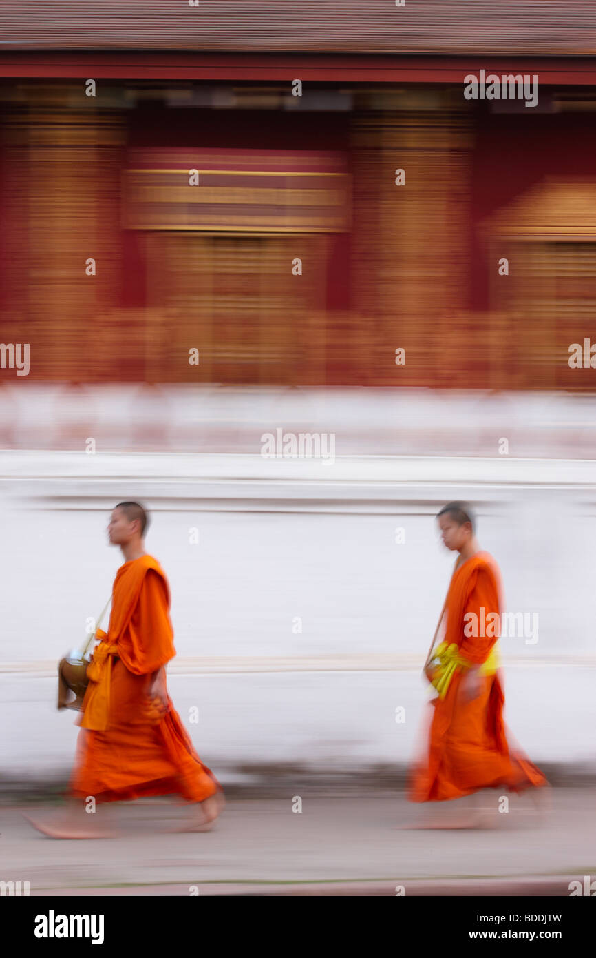 monks walking the street at dawn to collect gifts of food, Luang Prabang, Laos Stock Photo
