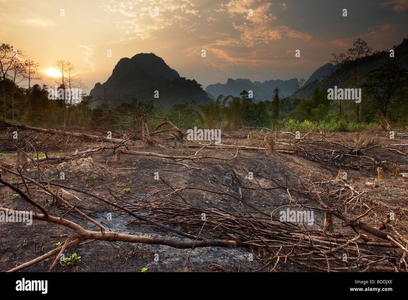 slash and burn; de-forestation nr Vang Vieng, Laos Stock Photo