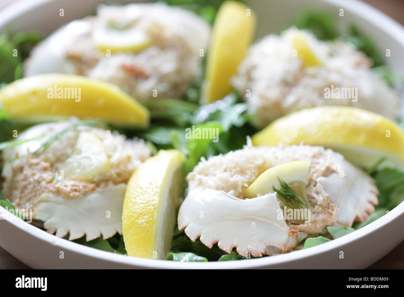 Hebridean Dressed Crabs Stock Photo - Alamy