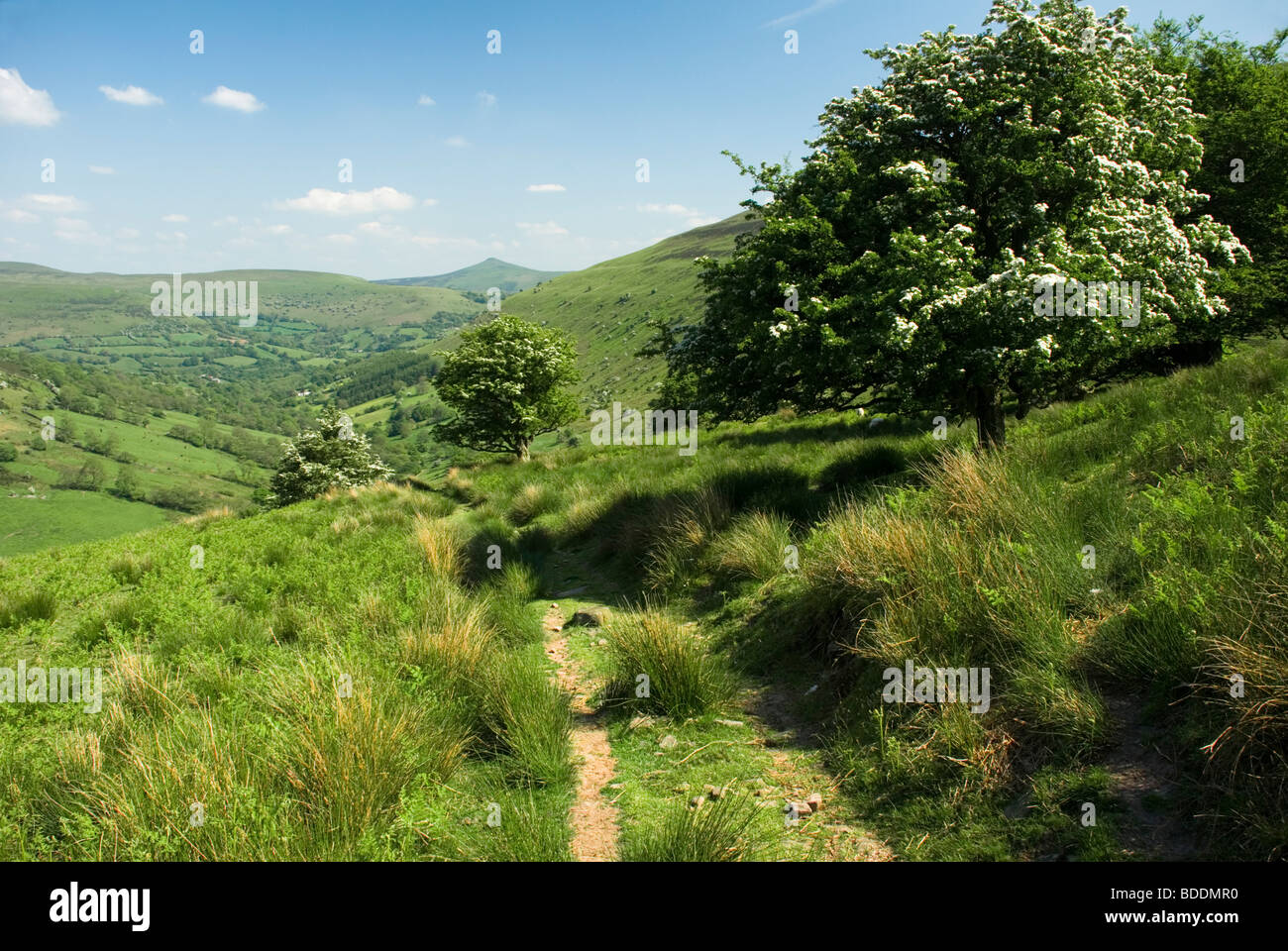 Brecon beacons National Park.  View towards Sugarloaf mountain. Stock Photo