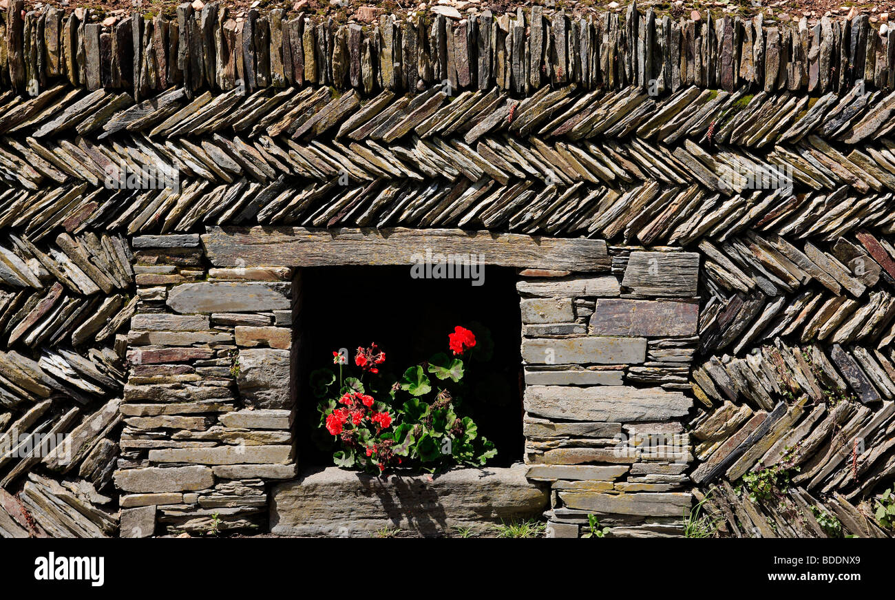 2555. Dry stone wall, Tintagel, Cornwall Stock Photo